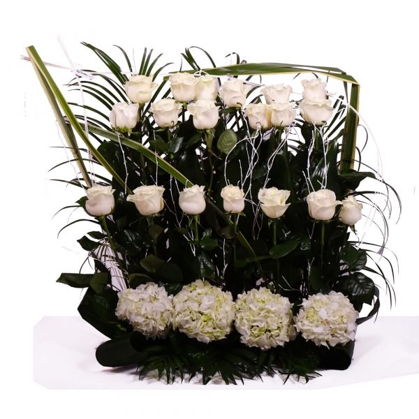 Paralelo de rosas blancas