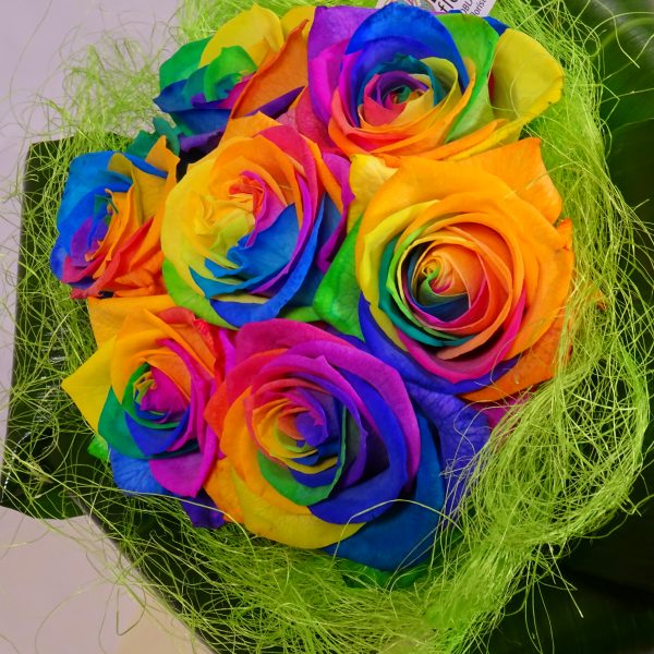 rosas multicolor