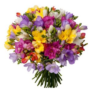 Gran Bouquet de freesias