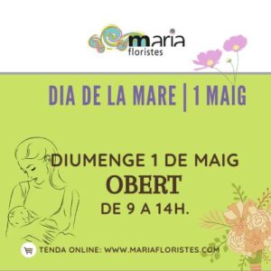 Horari La madre
