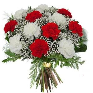 Claveles rojos y blancos