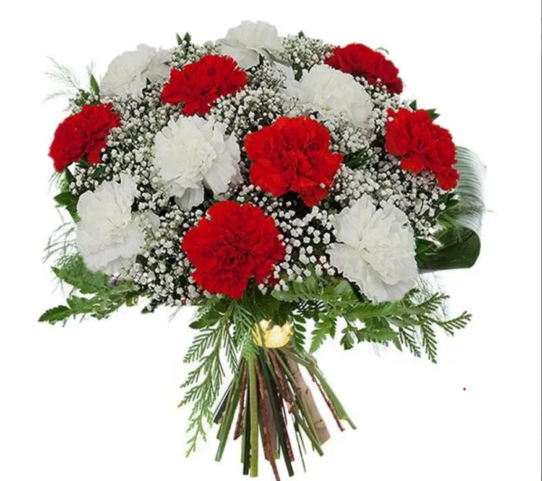 Claveles rojos y blancos