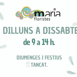 HORARI (mirar descripció)